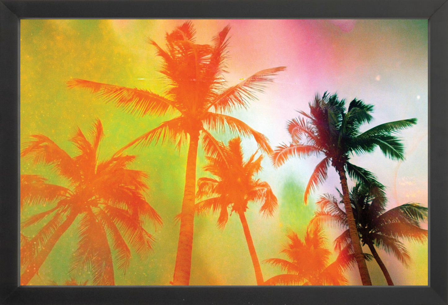 Neon Tropical Palms