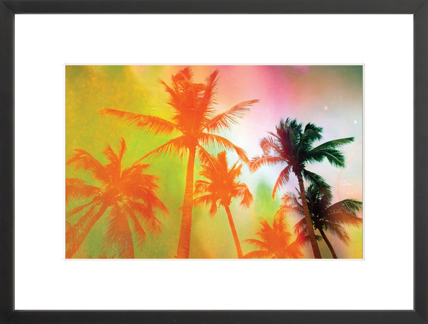 Neon Tropical Palms