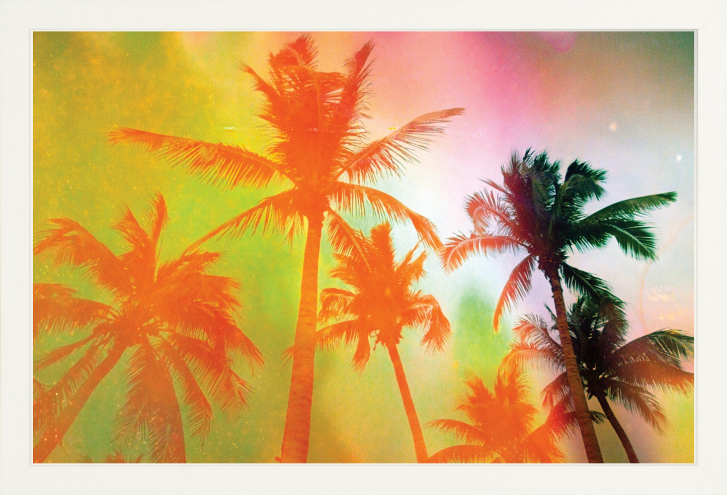 Neon Tropical Palms