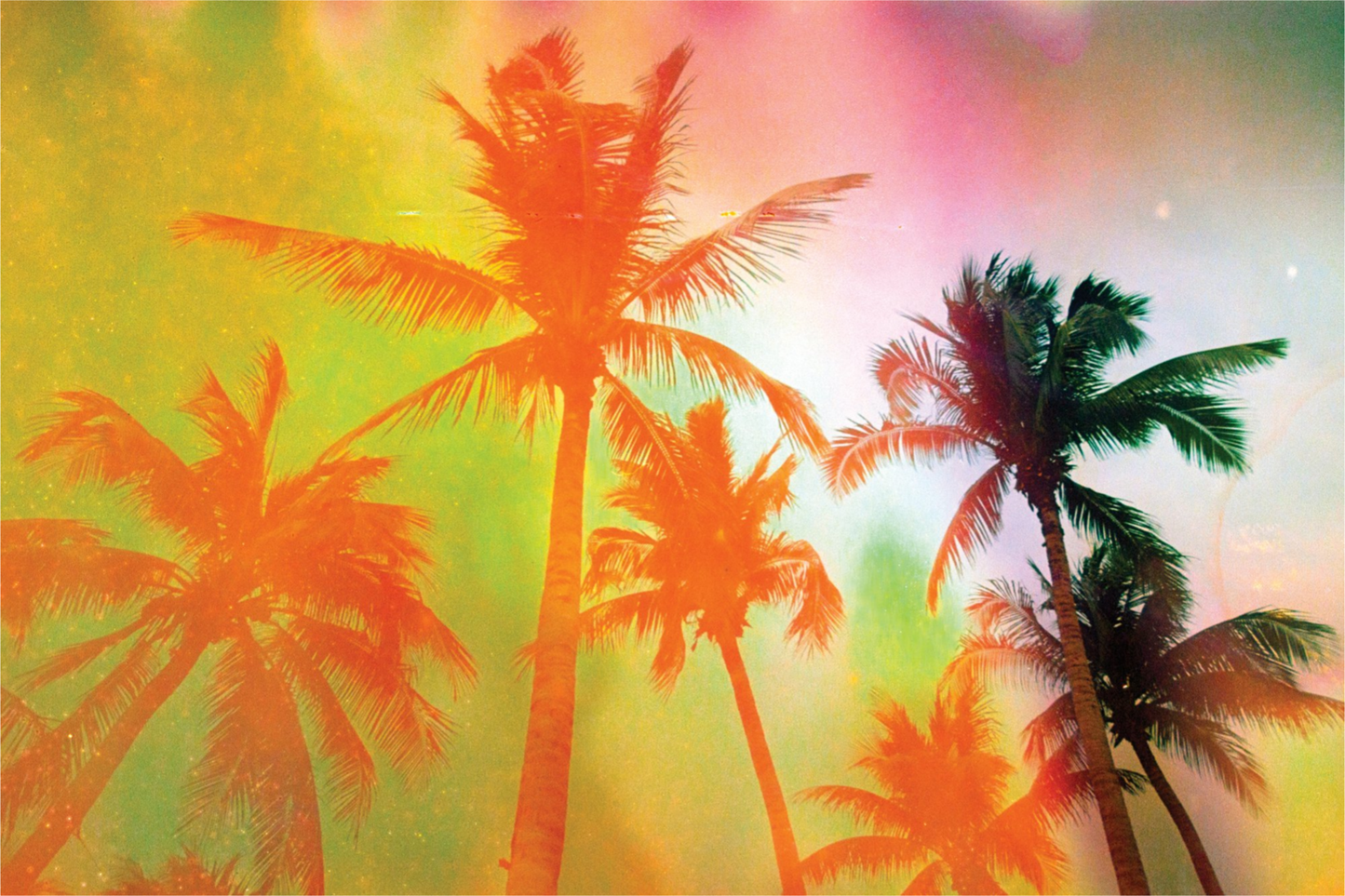 Neon Tropical Palms