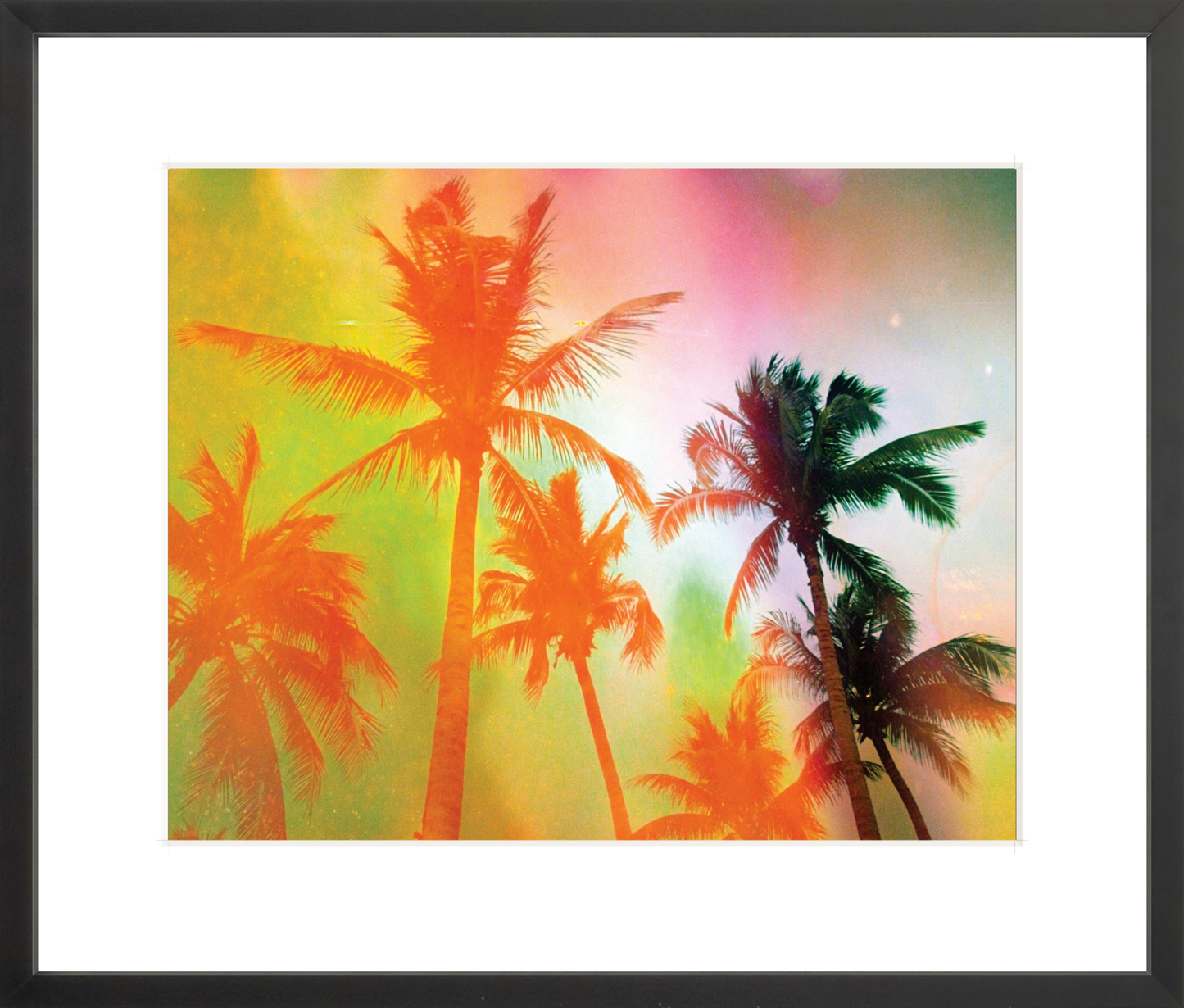 Neon Tropical Palms