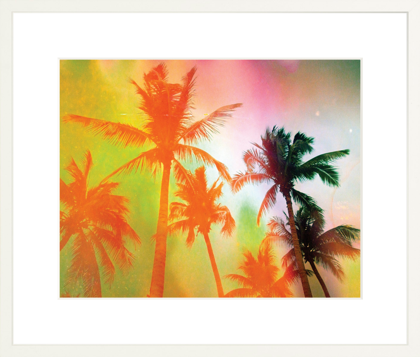 Neon Tropical Palms