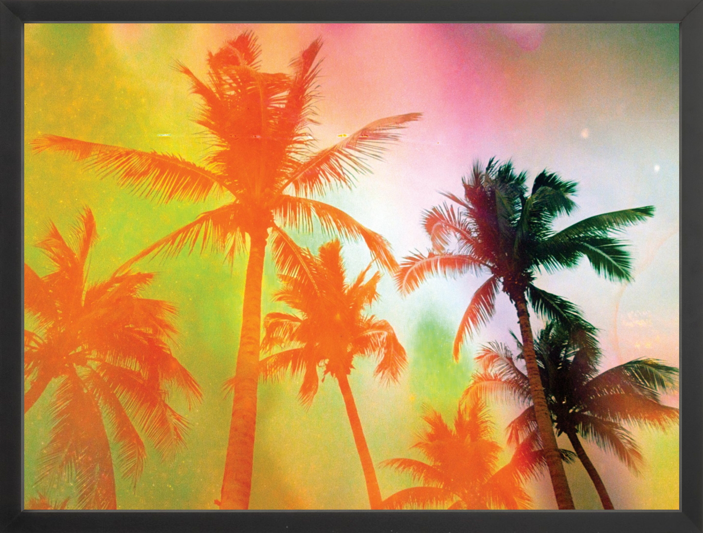 Neon Tropical Palms