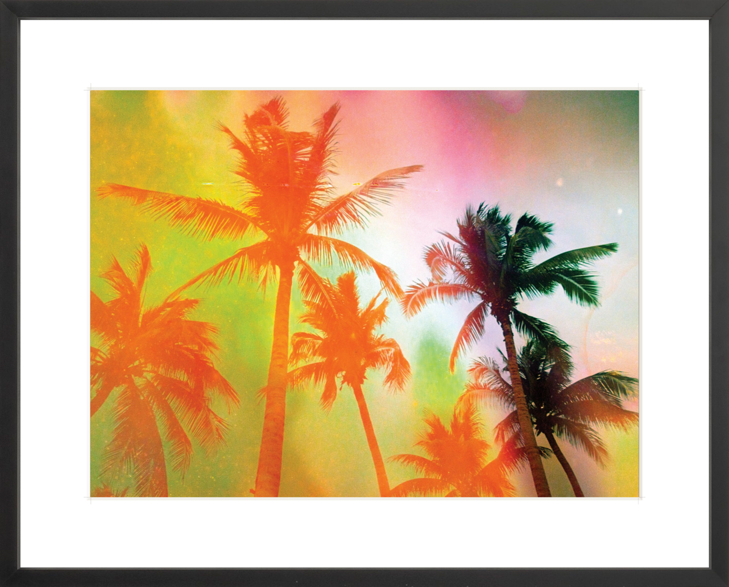 Neon Tropical Palms