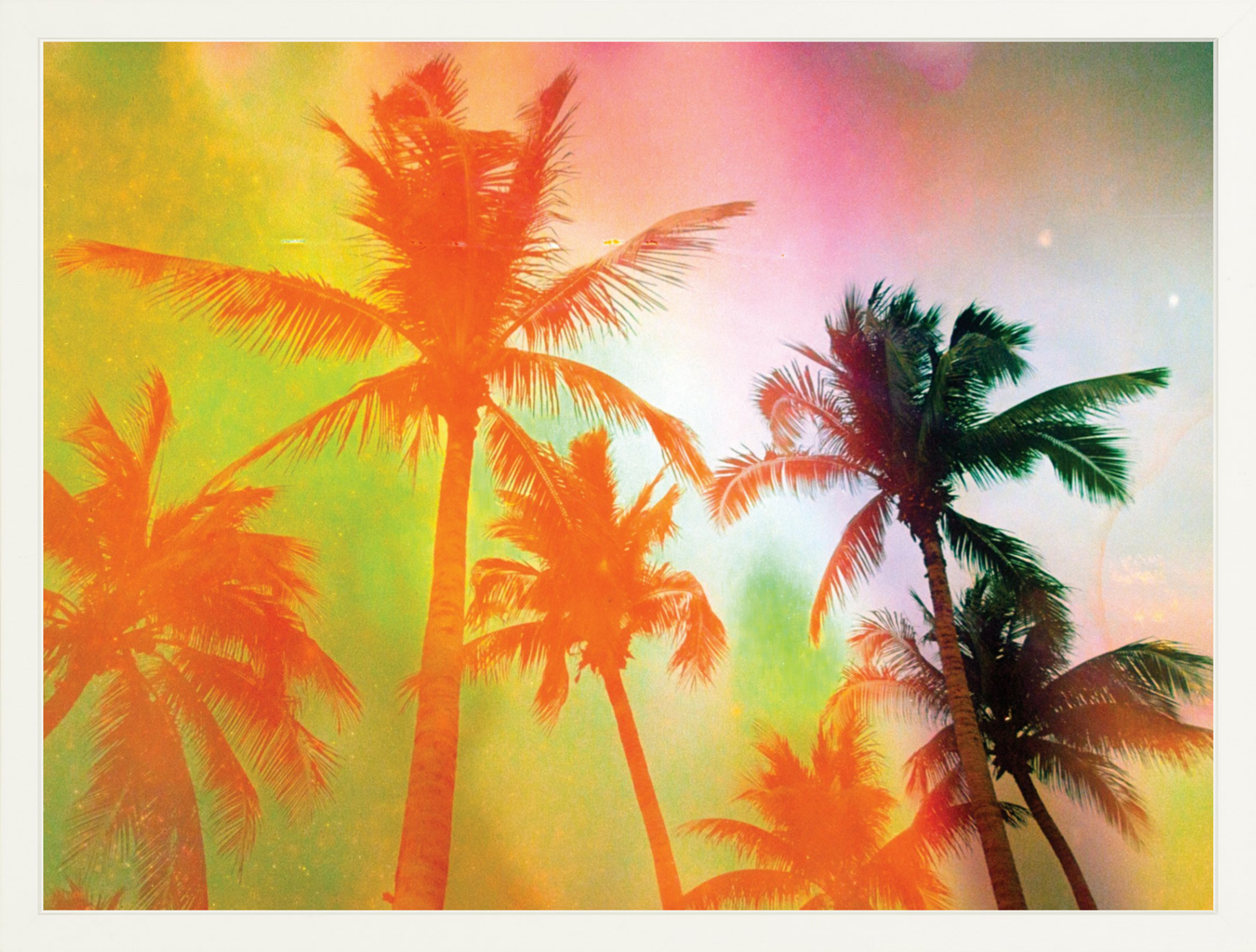 Neon Tropical Palms