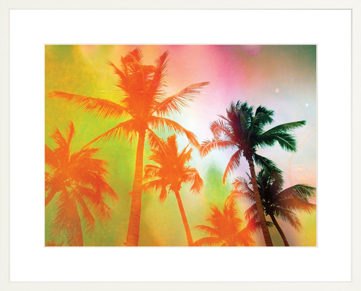 Neon Tropical Palms