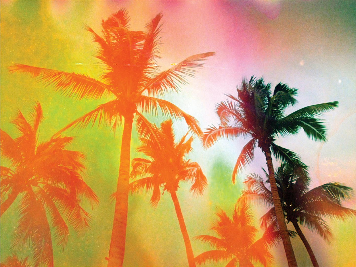 Neon Tropical Palms