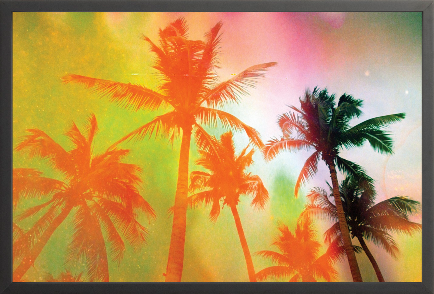 Neon Tropical Palms