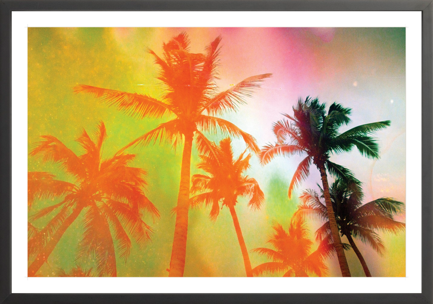 Neon Tropical Palms