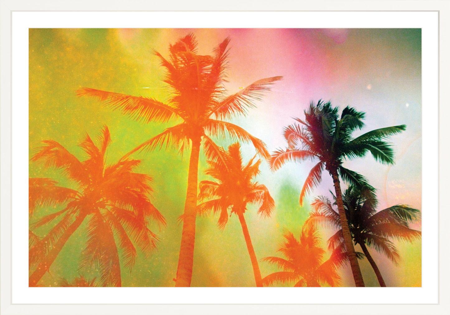 Neon Tropical Palms