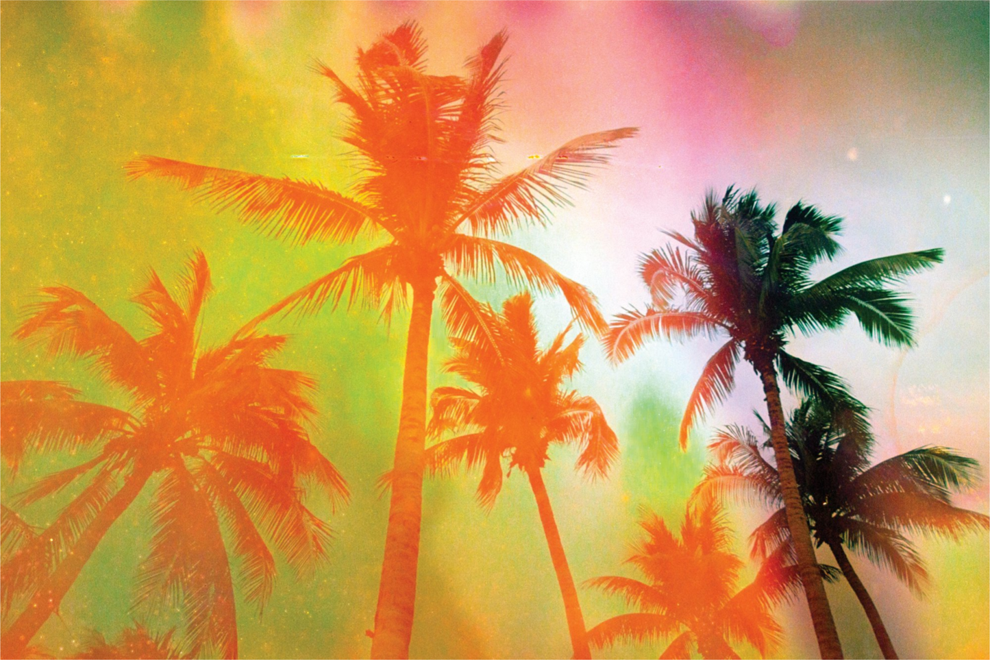 Neon Tropical Palms