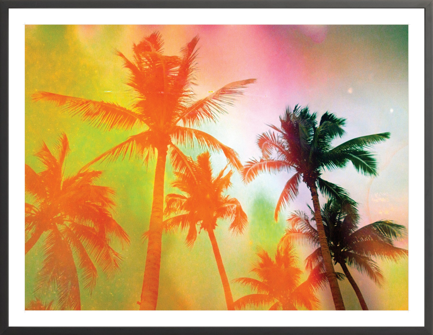 Neon Tropical Palms