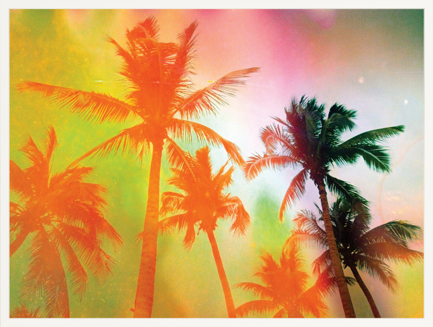 Neon Tropical Palms