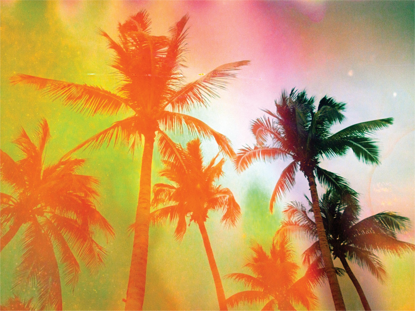 Neon Tropical Palms