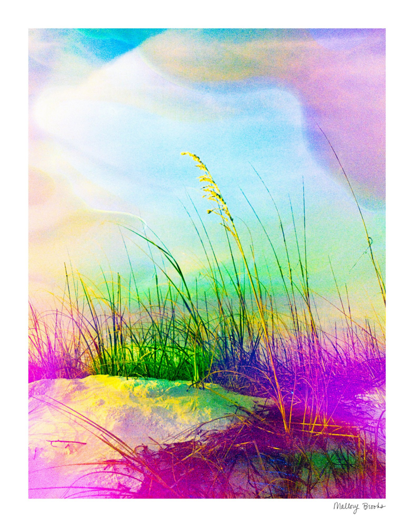 Neon Sea Oats