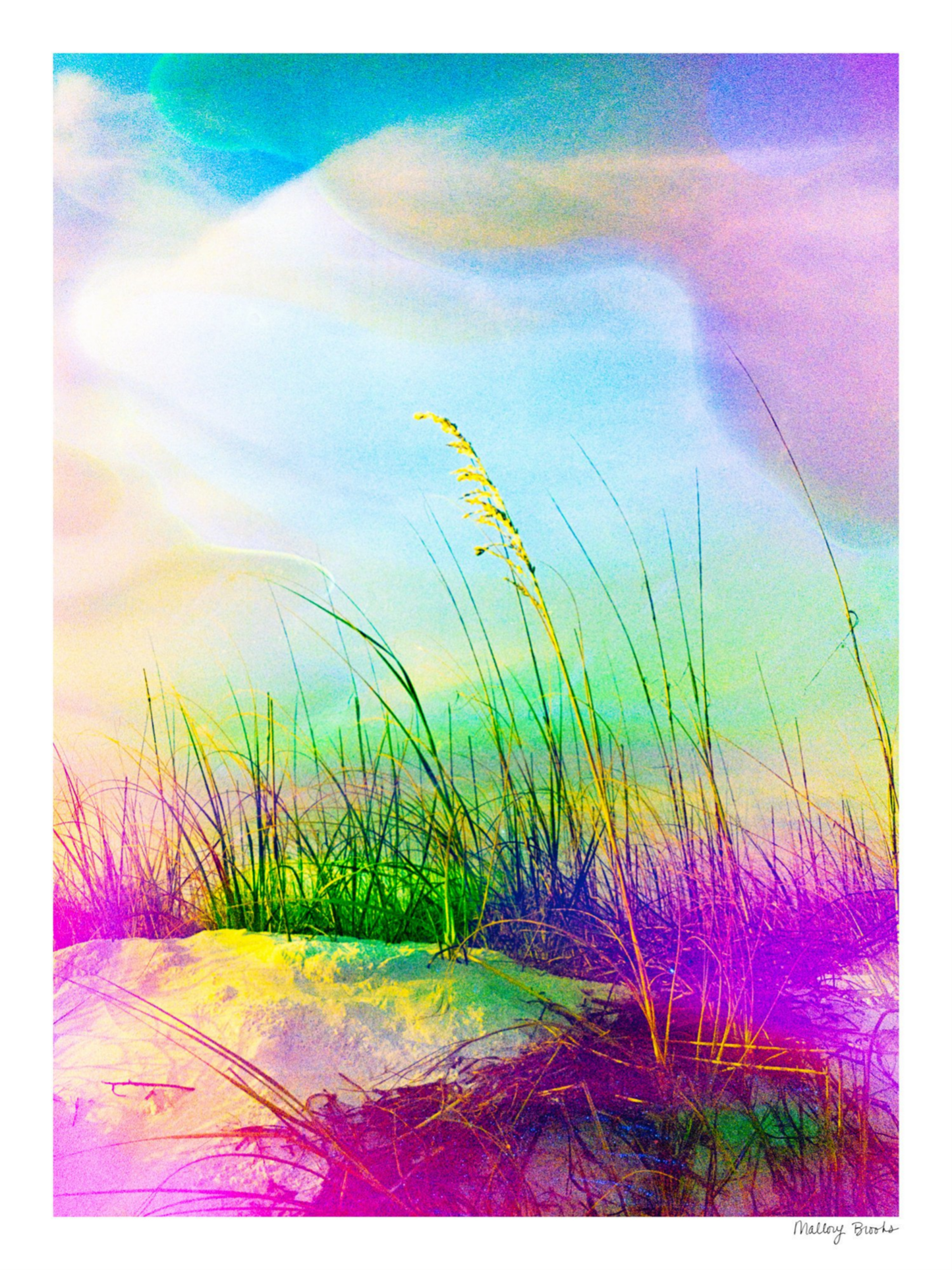 Neon Sea Oats