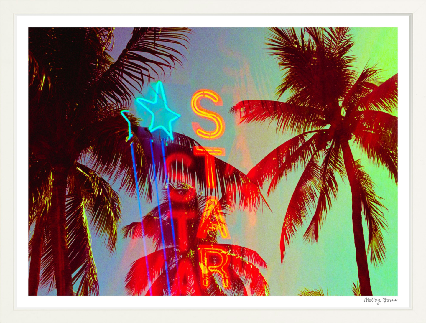 Neon Star Palms No. 2