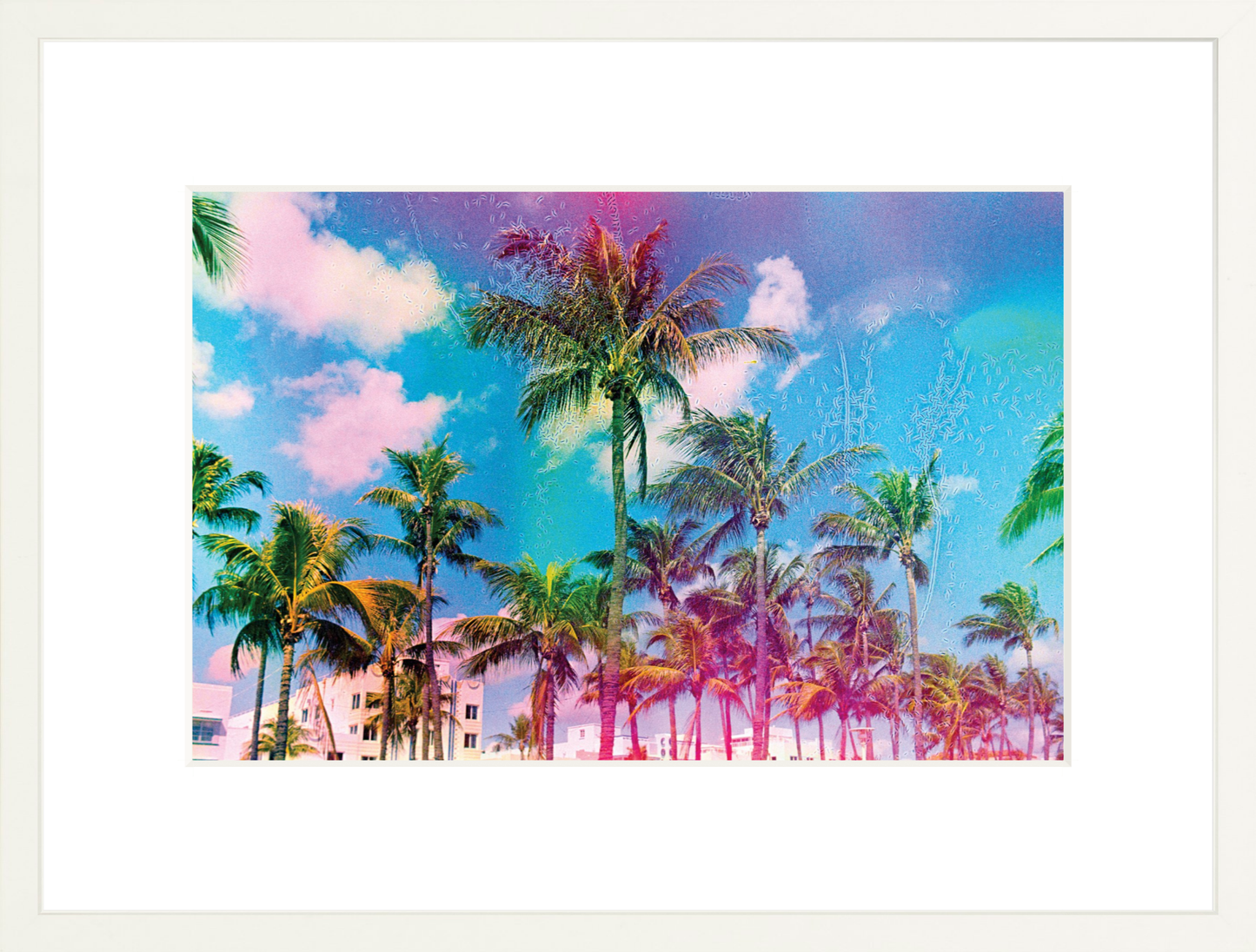 Ocean Drive Palms