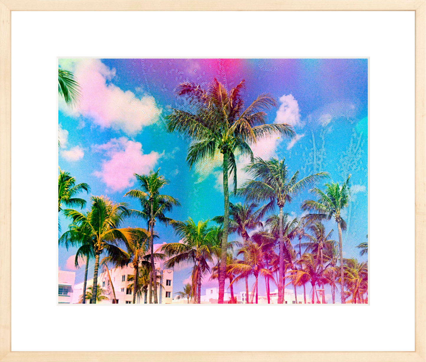 Ocean Drive Palms