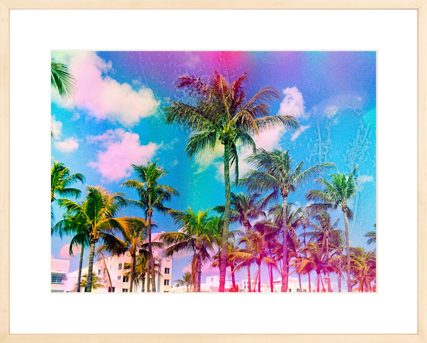 Ocean Drive Palms