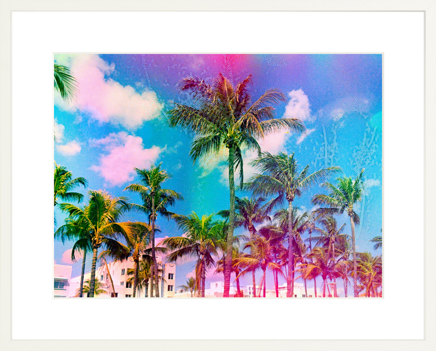 Ocean Drive Palms