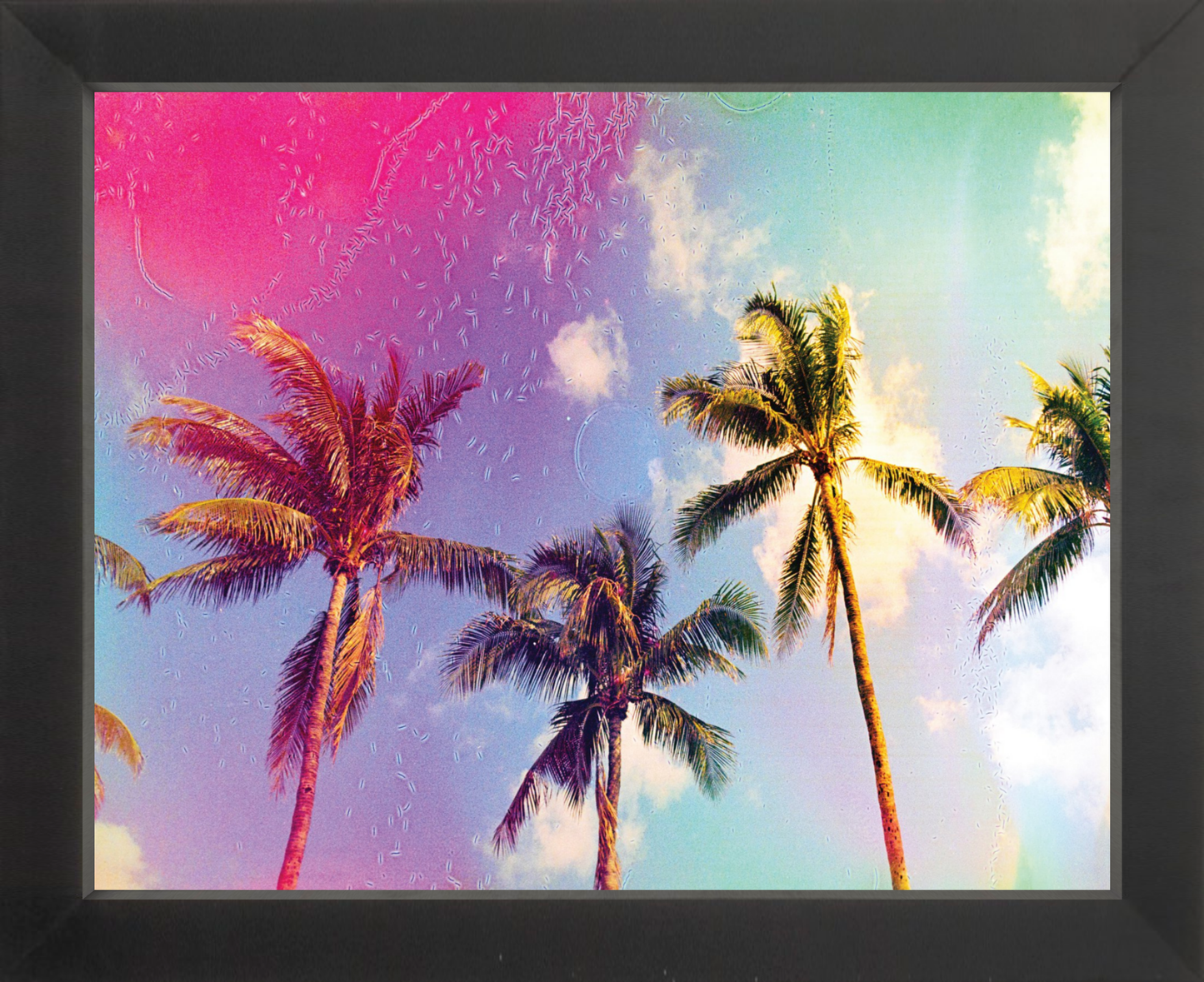 Palms in the Breeze