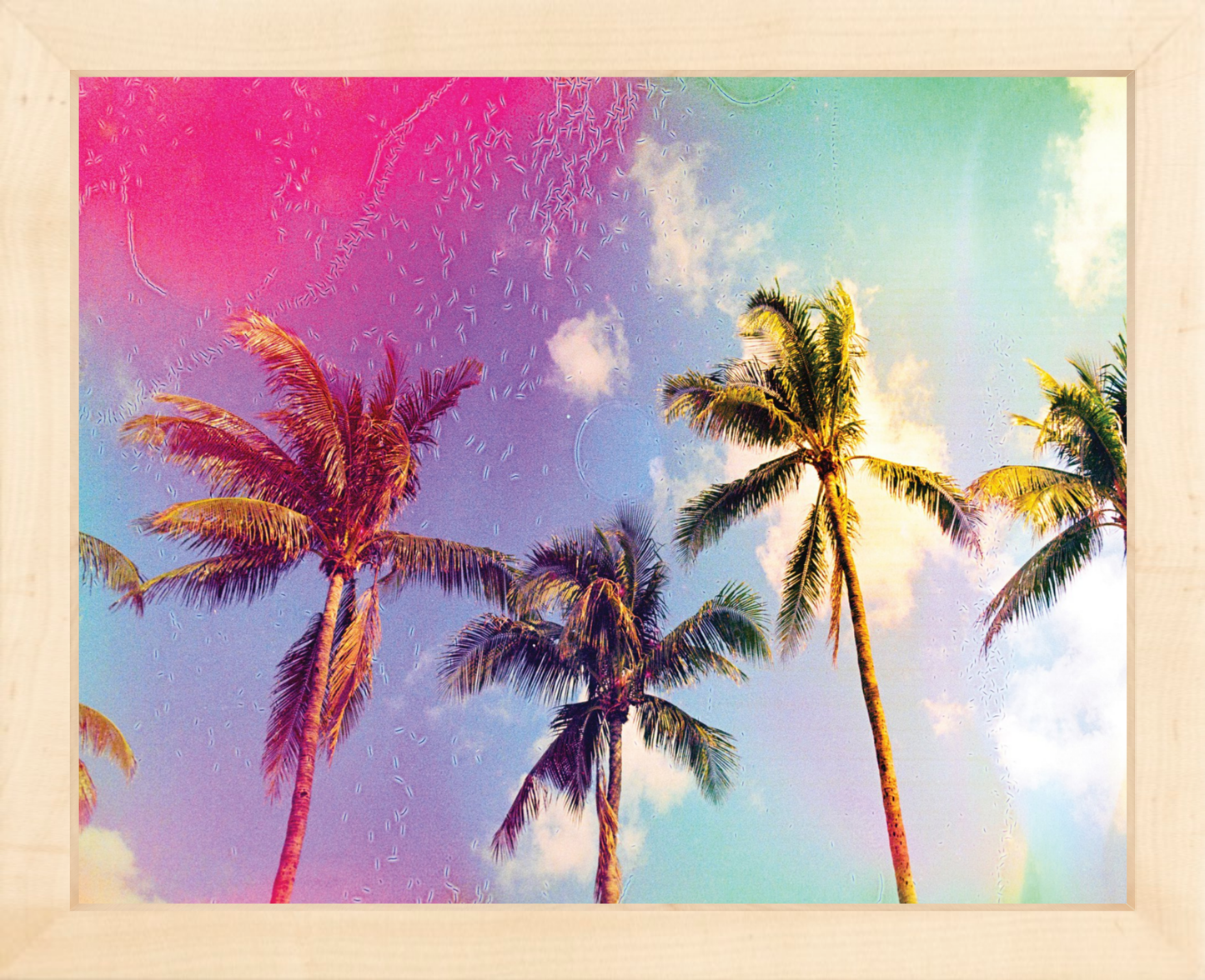 Palms in the Breeze