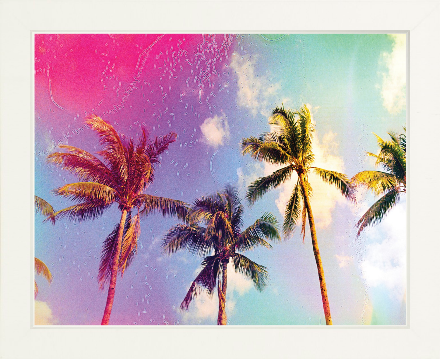 Palms in the Breeze