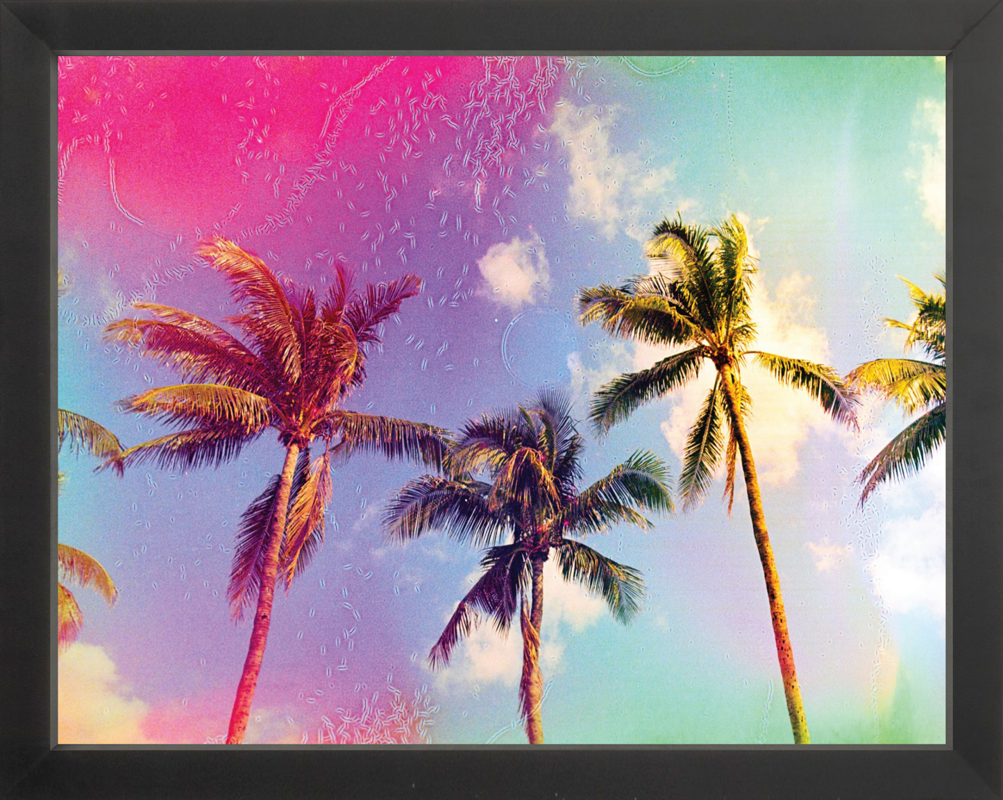 Palms in the Breeze