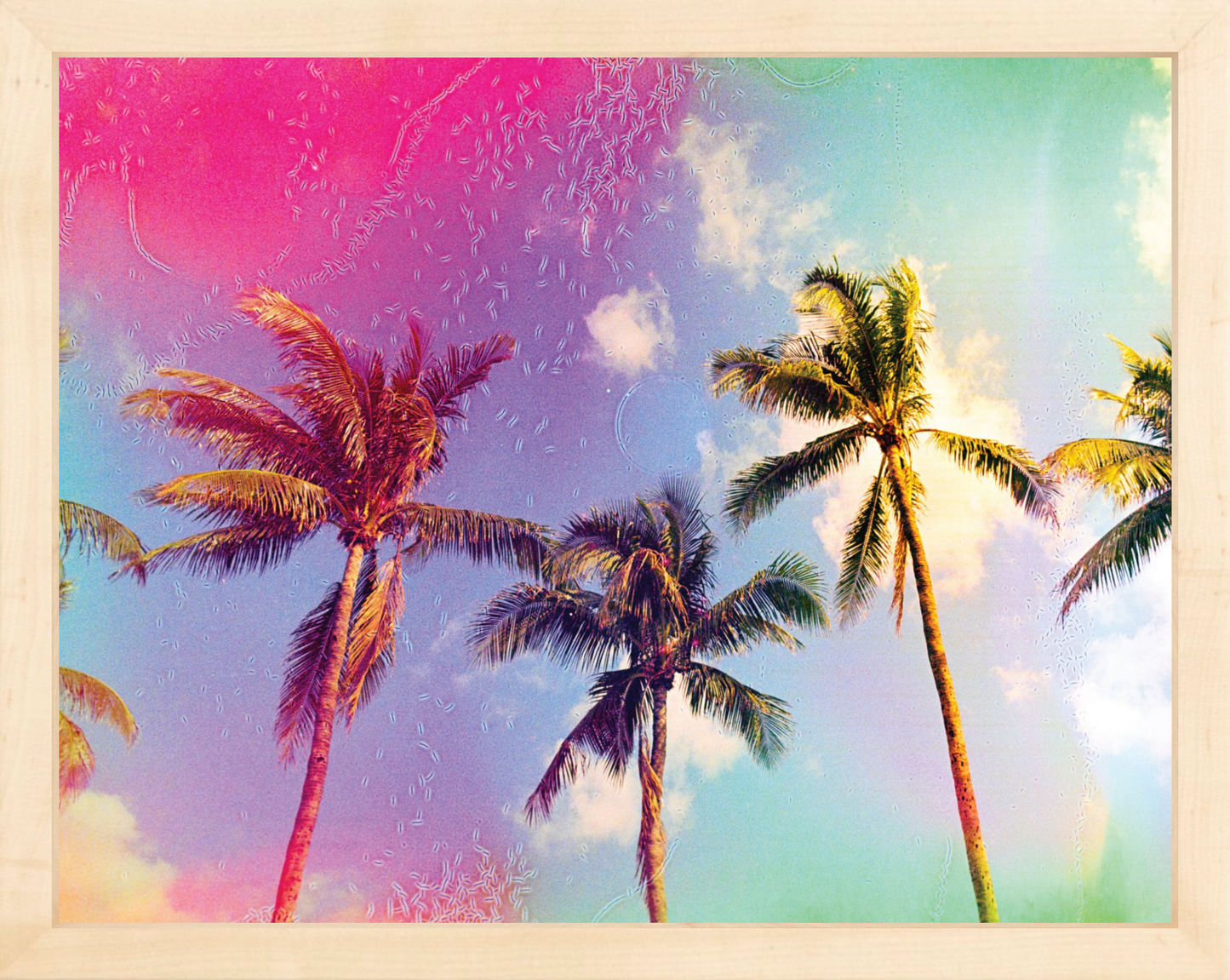 Palms in the Breeze