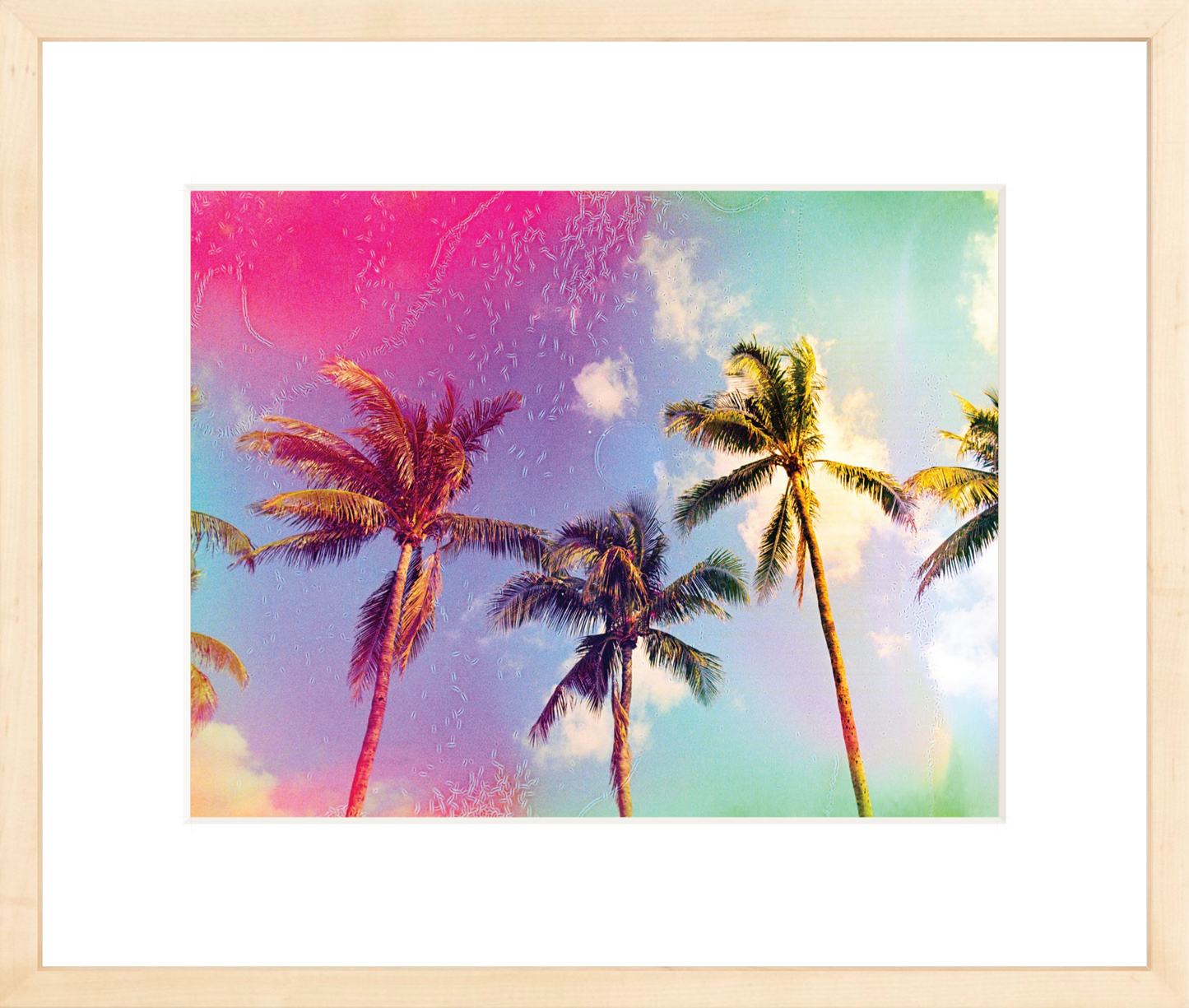 Palms in the Breeze