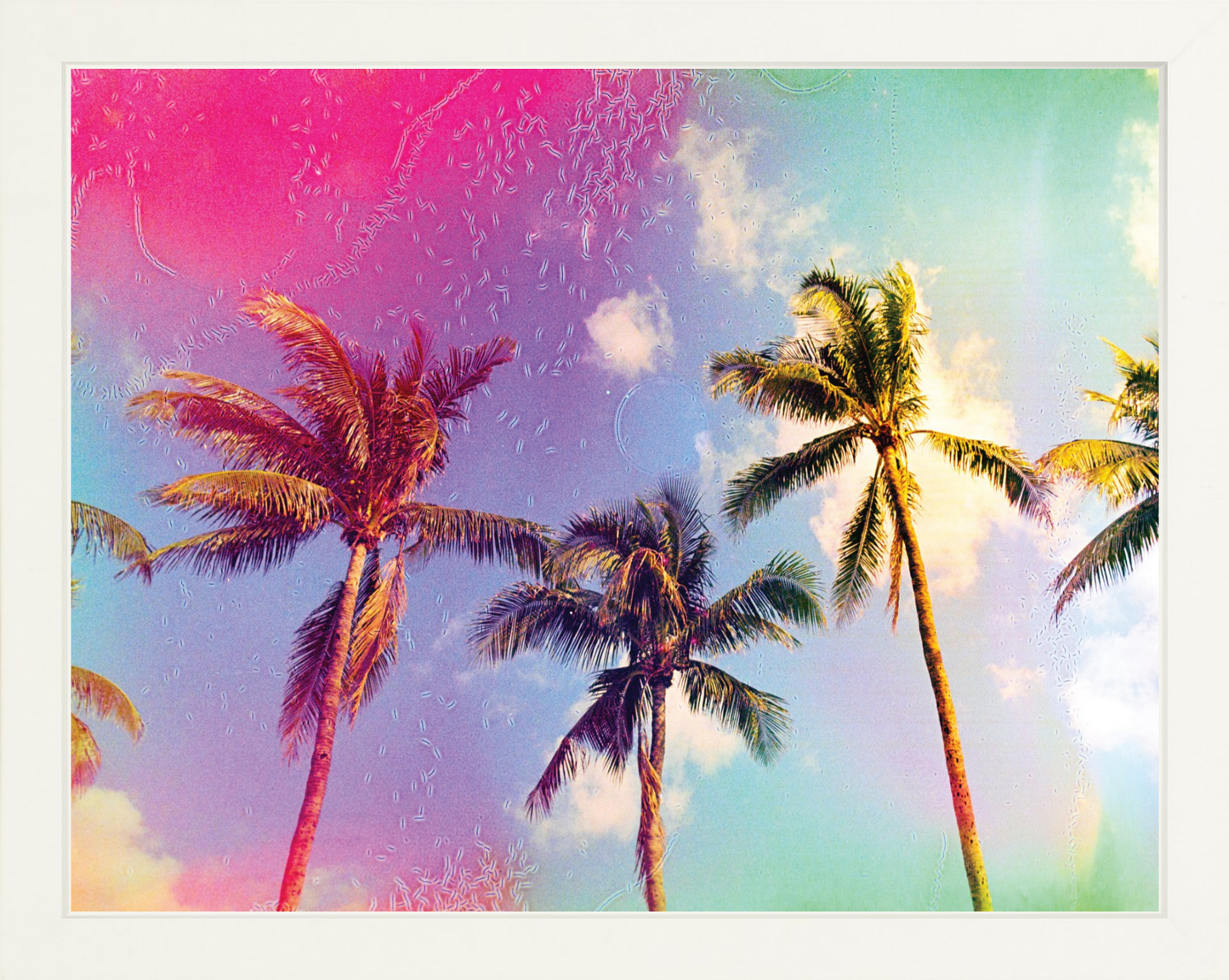 Palms in the Breeze