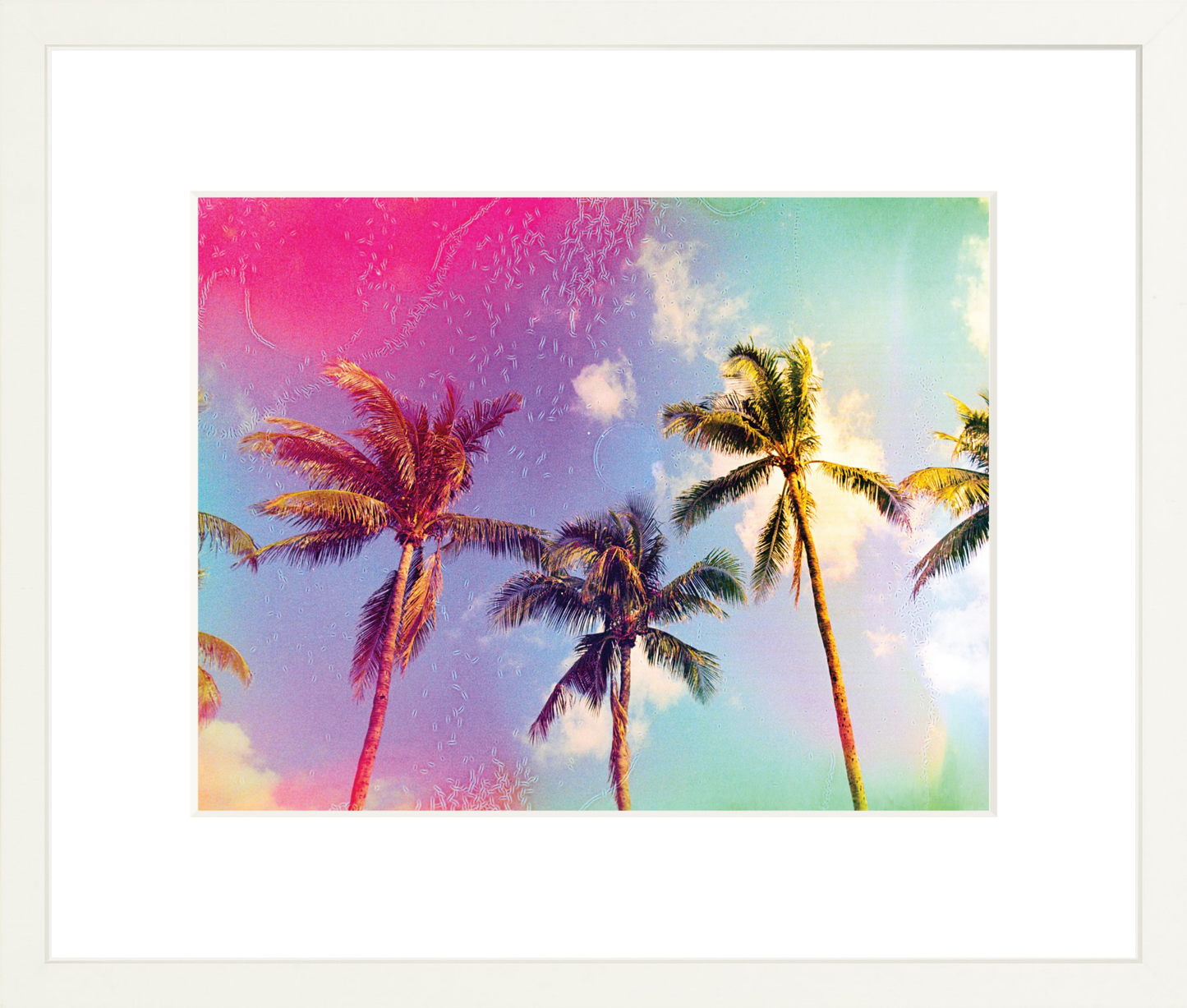 Palms in the Breeze