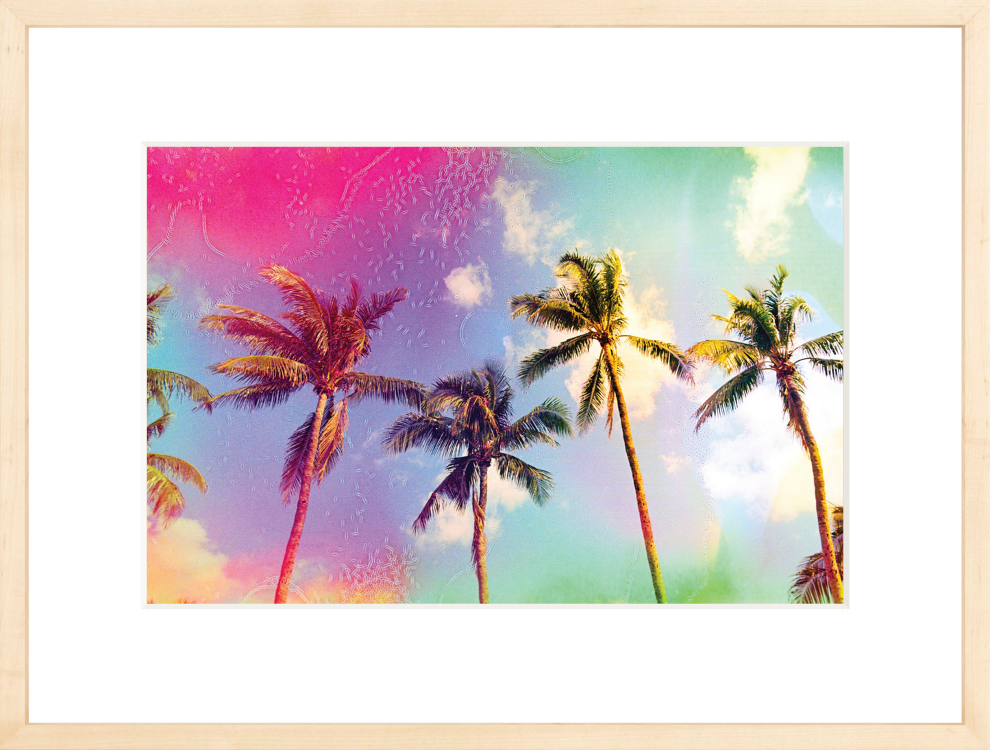 Palms in the Breeze