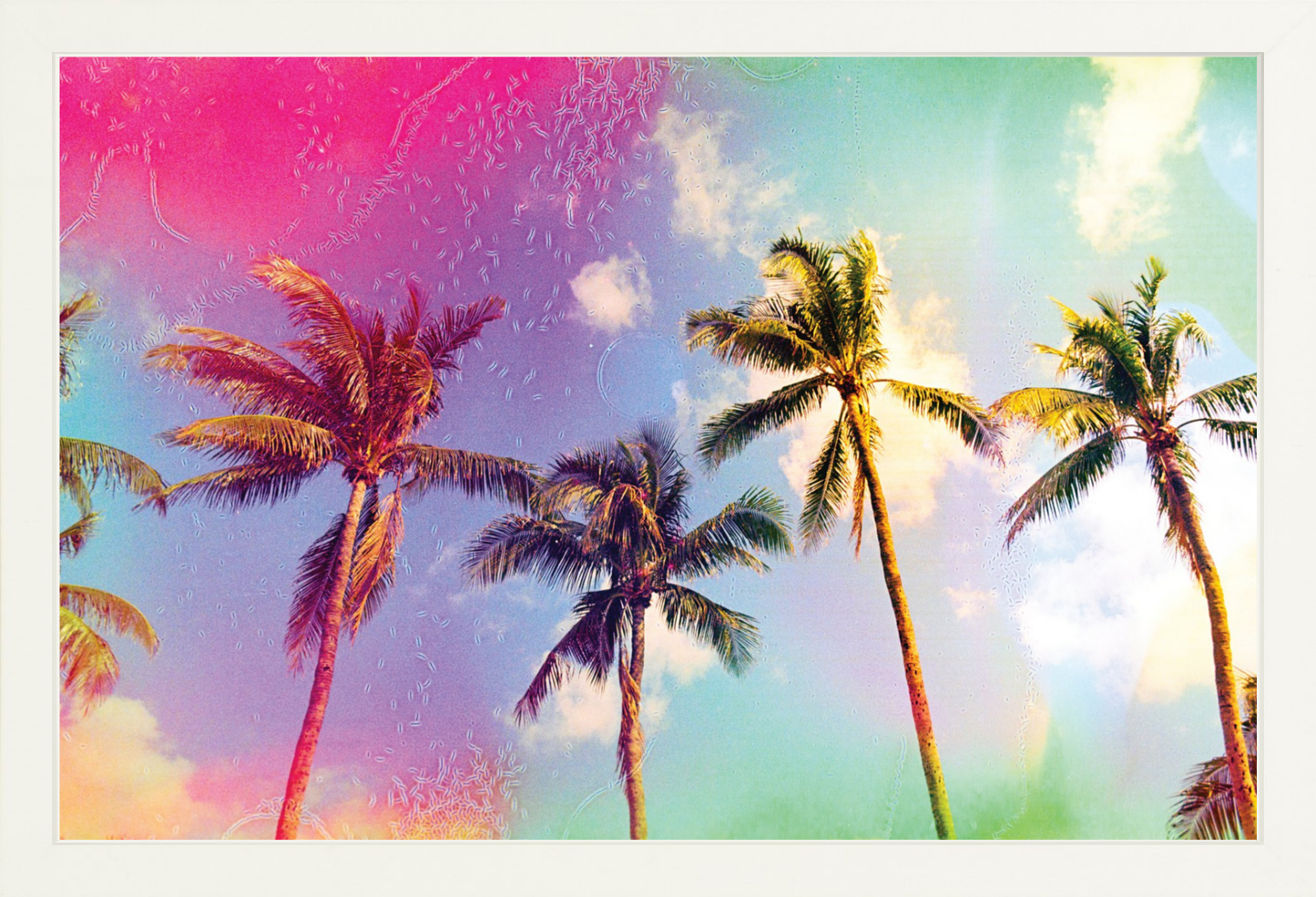 Palms in the Breeze