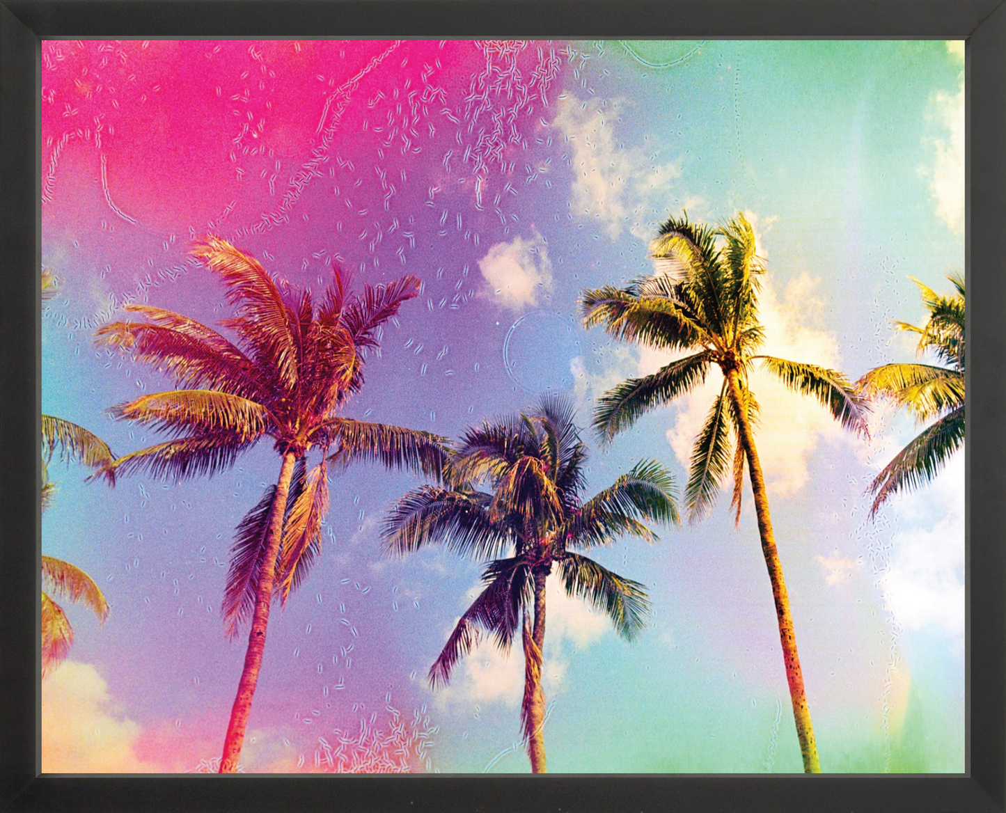 Palms in the Breeze