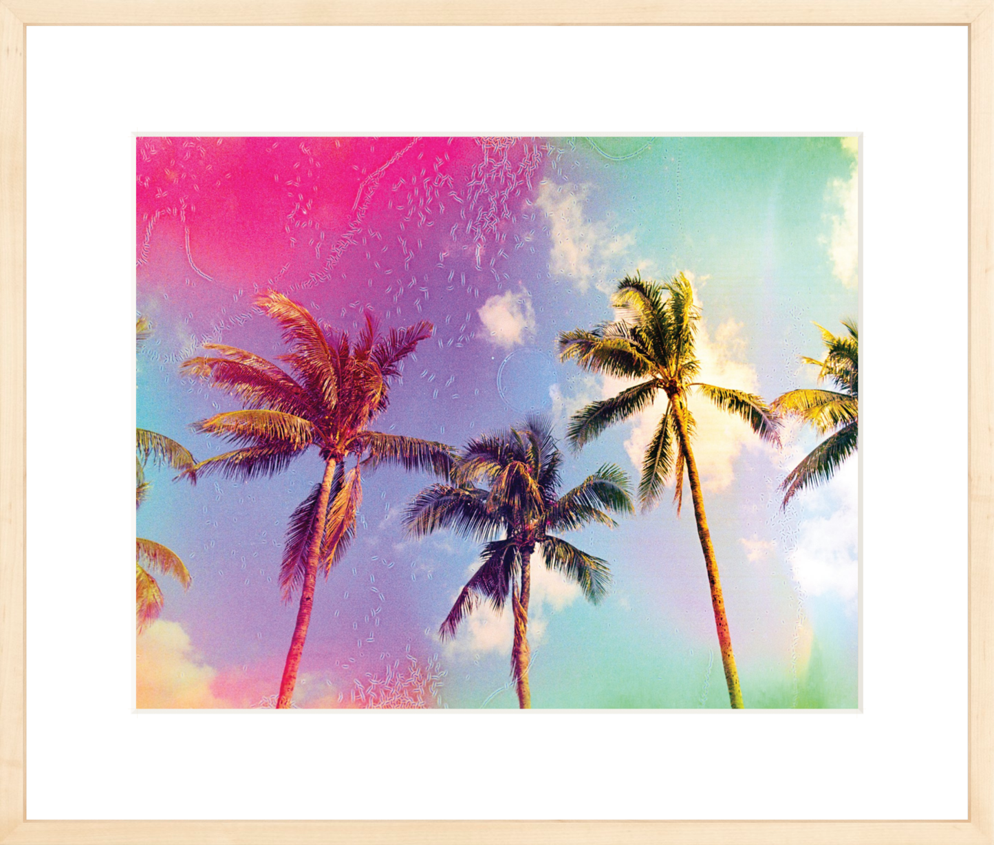 Palms in the Breeze