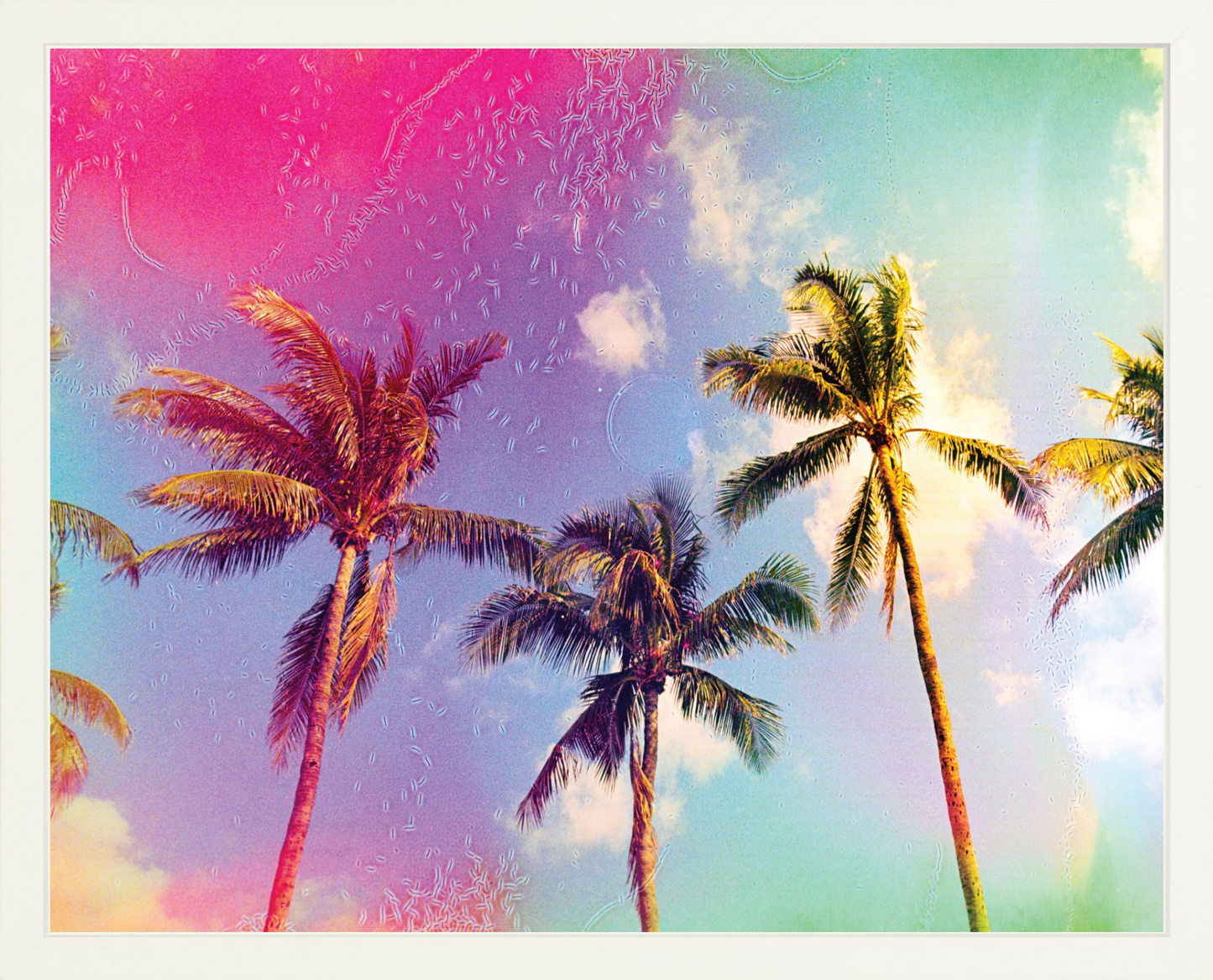 Palms in the Breeze