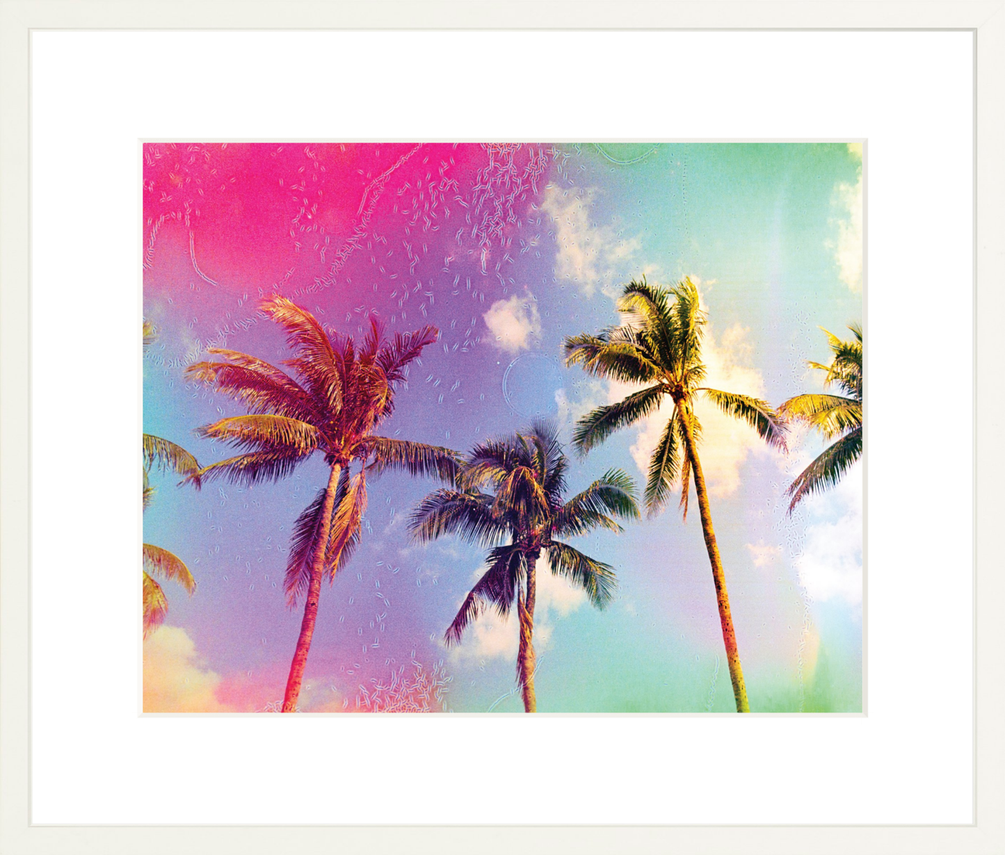 Palms in the Breeze