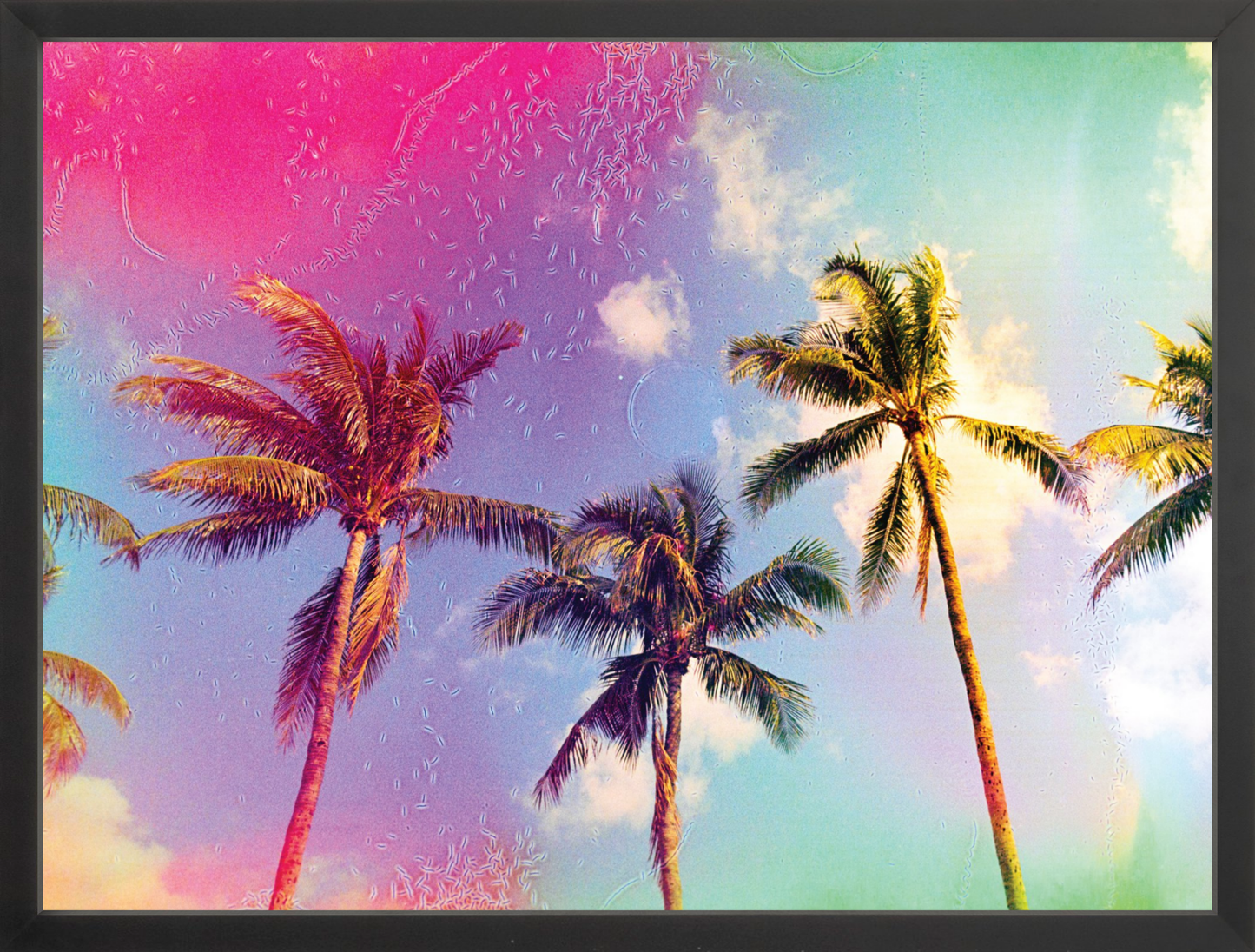 Palms in the Breeze