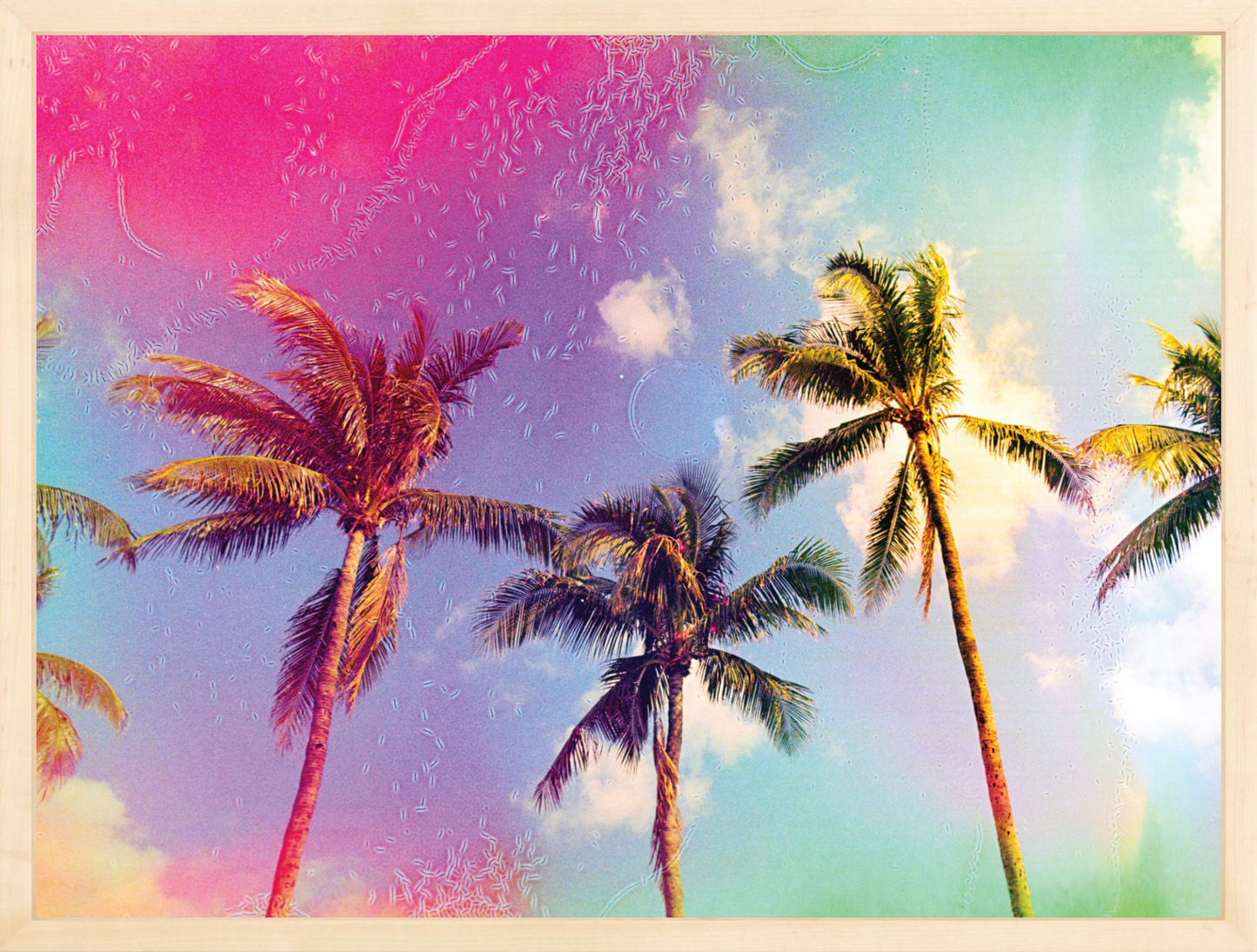 Palms in the Breeze