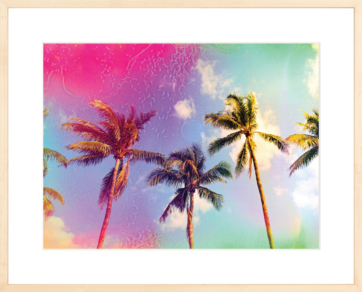 Palms in the Breeze