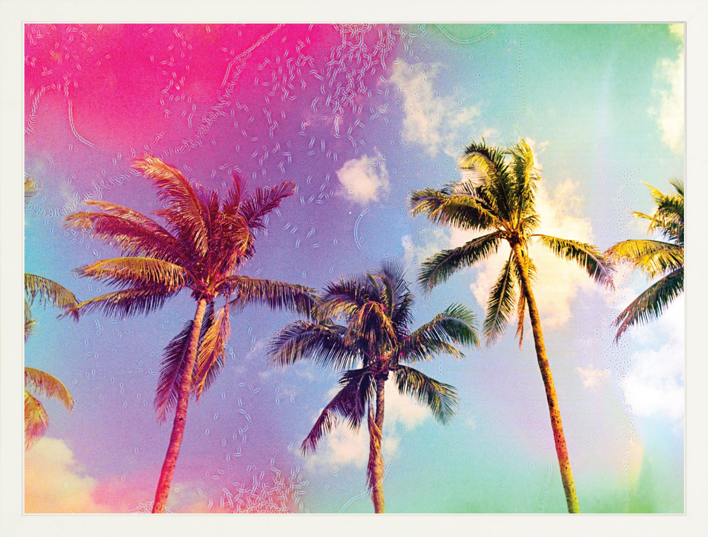 Palms in the Breeze