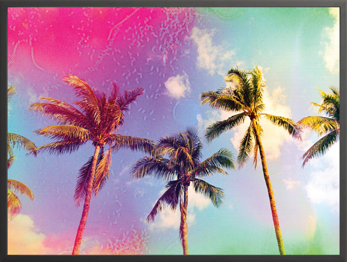 Palms in the Breeze