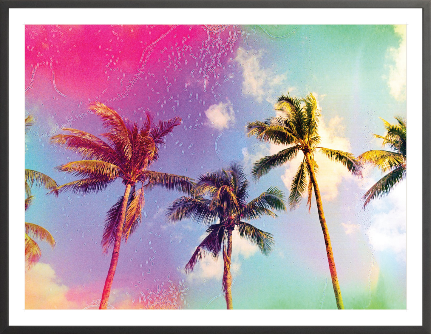 Palms in the Breeze