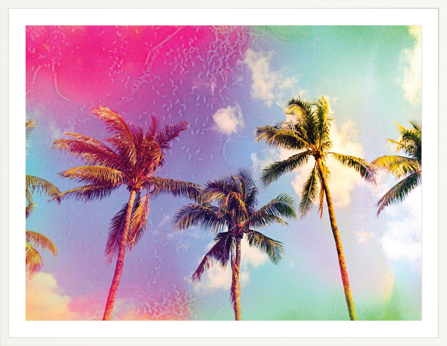 Palms in the Breeze