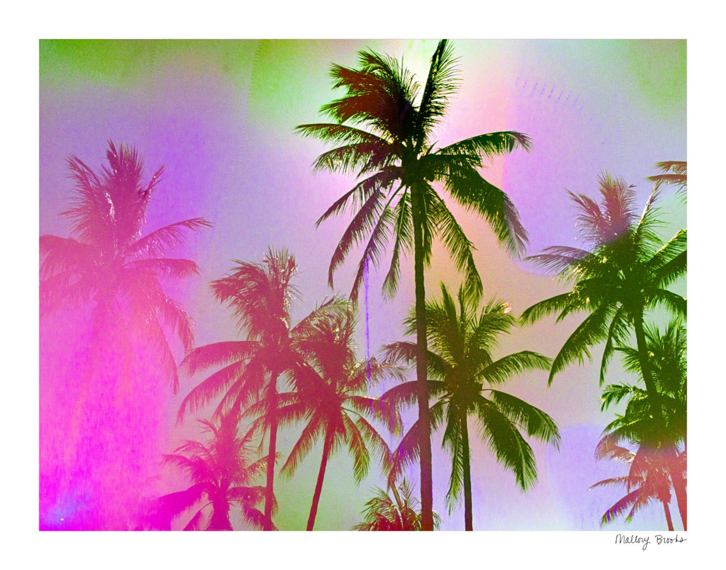 Pastel Paradise No. 1
