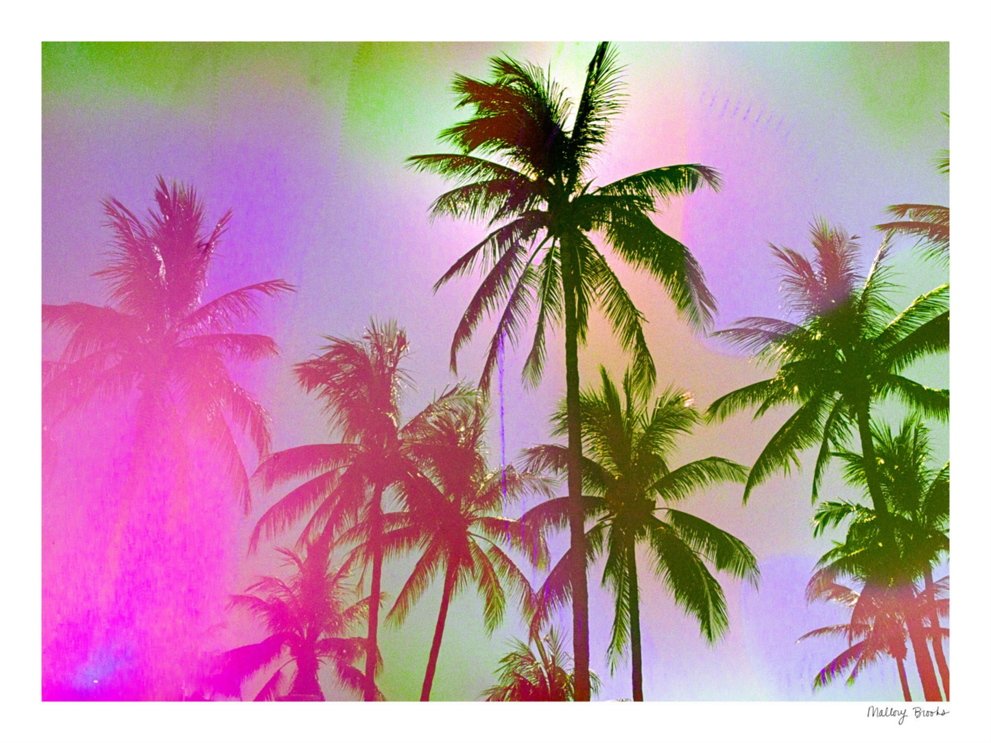 Pastel Paradise No. 1