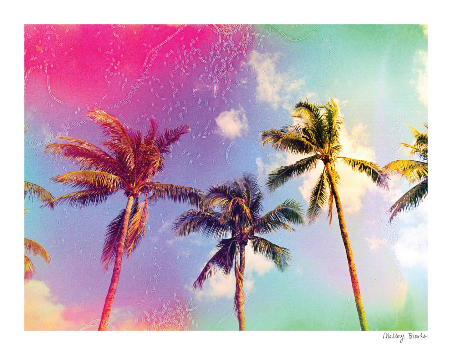 Pastel Paradise No. 3