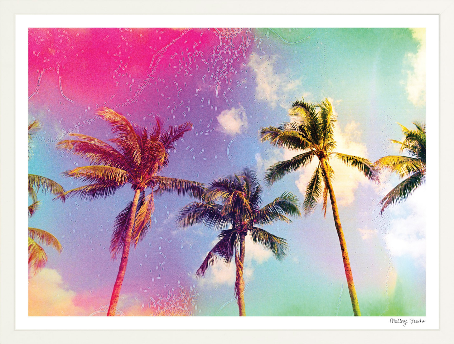 Pastel Paradise No. 3